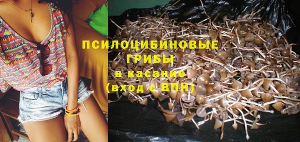 соль ск Абинск