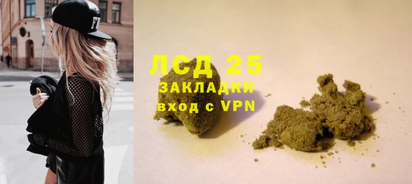 PSILOCYBIN Абаза