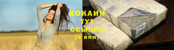 PSILOCYBIN Абаза